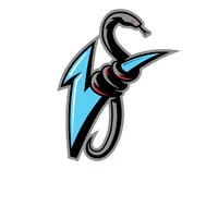 Vipers Pro Mens basketball team