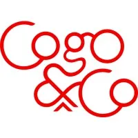 Cogo & Co Inc.