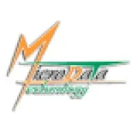 Micro Data Technology for Information Systems