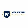 Wolverines Wolverines