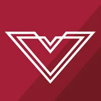 Big V Property Group