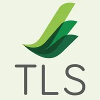 Transformative Leadership Strategies