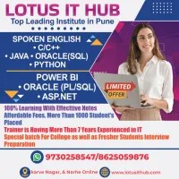Lotus IT Hub