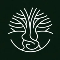 Olivetree