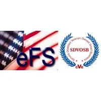 eFederal Systems