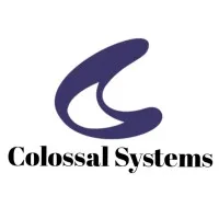 Colossal Systems Inc