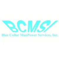 BLUE COLLAR MANPOWER SERVICES, INC. BLUE COLLAR MANPOWER SERVICES, INC.