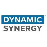 Dynamic Synergy