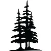 Sandy Pine