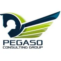 Pegaso Consulting Group
