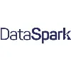 DataSpark DataSpark