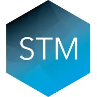 STM Group