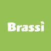 Brassi Brassi