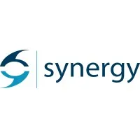 Synergy Global Consulting Ltd