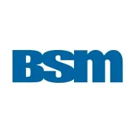 BSM Engenharia