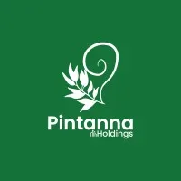Pintanna Holdings