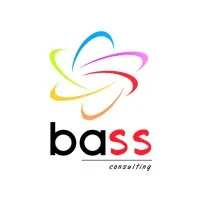 BASS CONSULTING