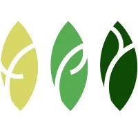 TPY Capital