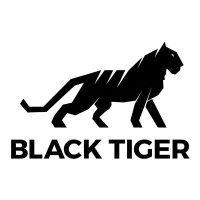 Black Tiger Low Voltage Systems
