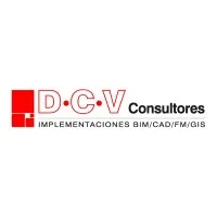 DCV Consultores