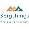 3 Big Things 3 Big Things