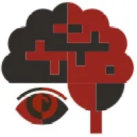 Brain Vision and Concussion Clinic