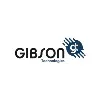 Gibson Technologies (Pty) Ltd Gibson Technologies (Pty) Ltd