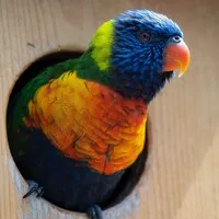 Topeka Zoo & Conservation Center