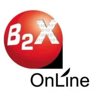 B2X Online, Inc.