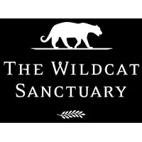 The Wildcat Sanctuary The Wildcat Sanctuary