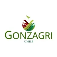 Grupo Gonzagri