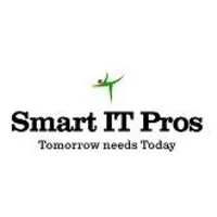 SMART IT PROS INC