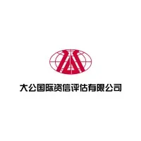 大公国际资信评估有限公司 大公国际资信评估有限公司