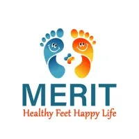 Merit Medilinks