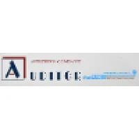 Auditing Company "Auditor"