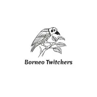 Borneo Twitchers Tours & Travel Sdn Bhd