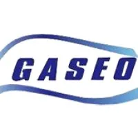 GASEO - Gestão em Saúde e Segurança Ocupacional