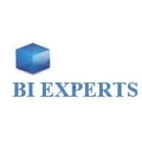 BI Experts