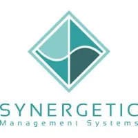 Synergetic Information Systems