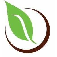 Optimal Wellness Chiropractic