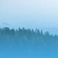 Lightly