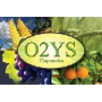 O2YS Corporation