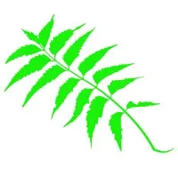 Nimba Software Services