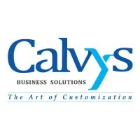 Calvys Business Solutions