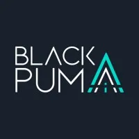 The Black Puma