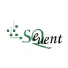 Sequent Inc Sequent Inc