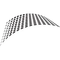 Collective Motion