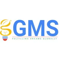 Global Matrix Solution Global Matrix Solution