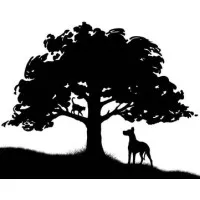 STONEY BROOK VETERINARY HOSPITAL