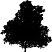 Parlanti & Cooperman LLP